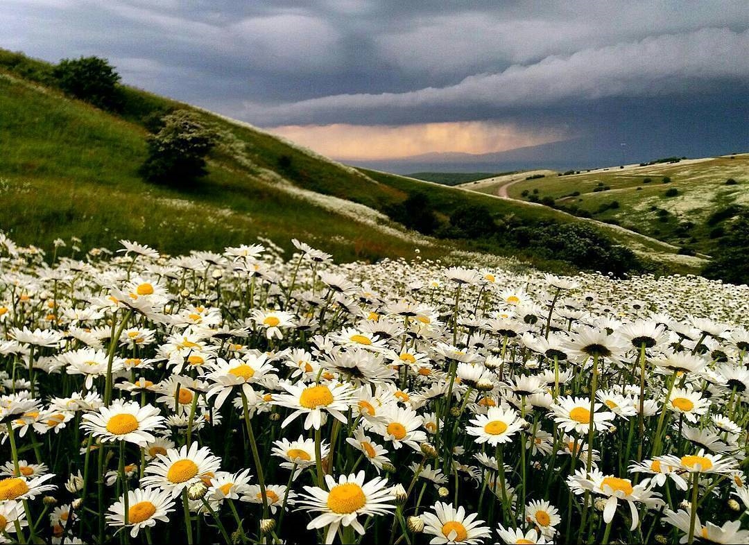 تابستان اردبیل و سرعین گردی | آسرو
