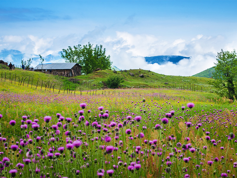 اردبیل یک مقصد عالی برای سفر های بهاری و تابستانی و تعطیلات خرداد ماه