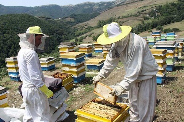 گردشگری سلامت سبلان