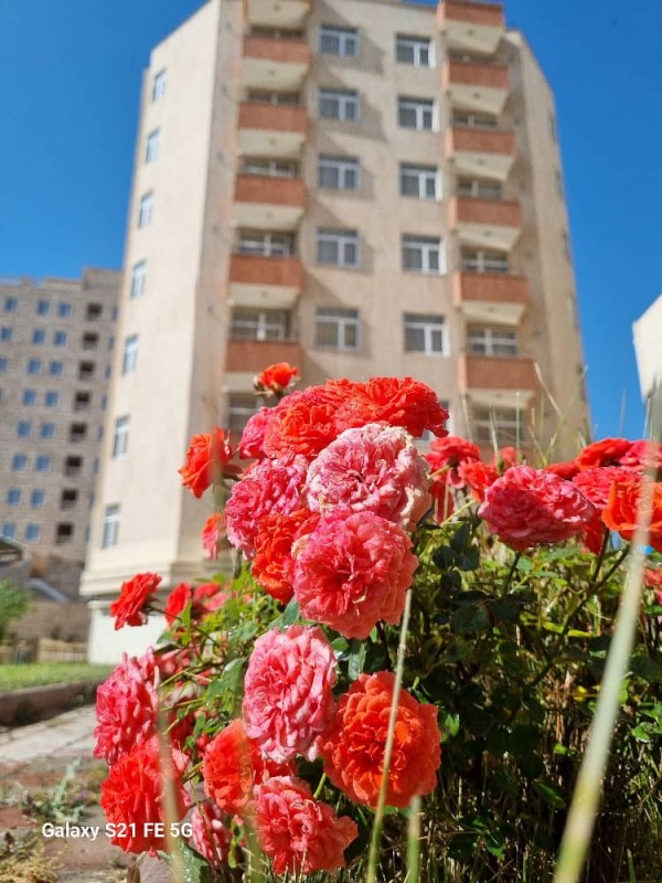 هتل طاق بستان