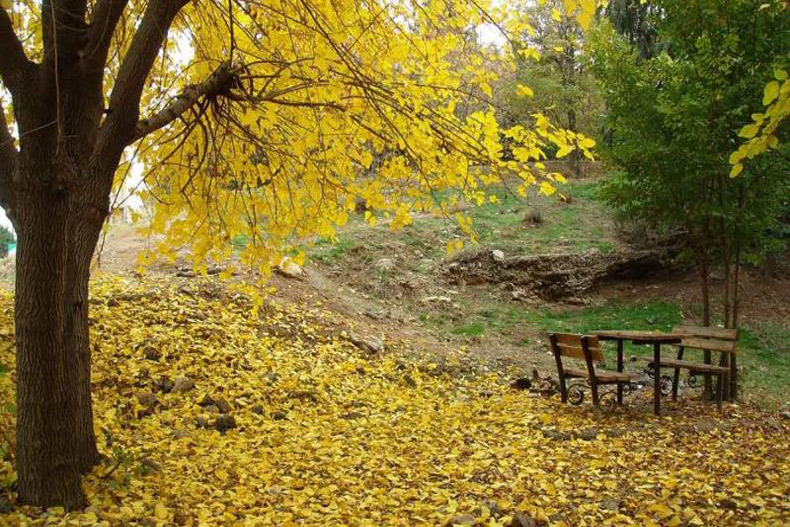 پارک ملی سرخه حصار