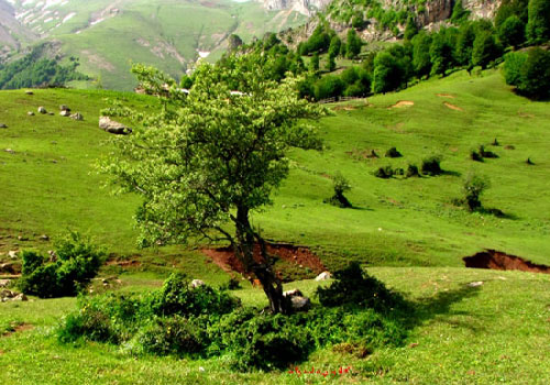 ییلاق کوربار