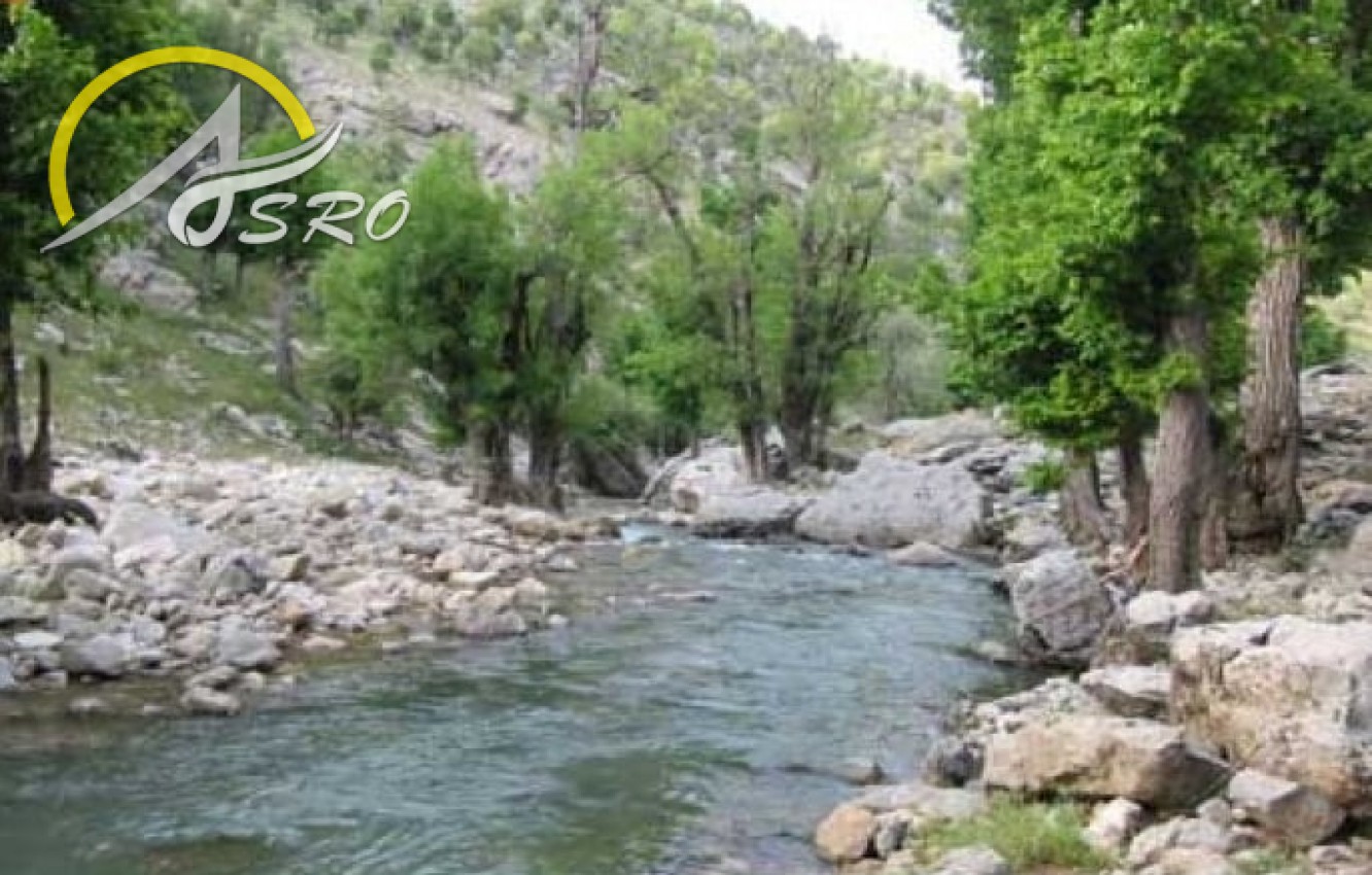 تنگ هونی
