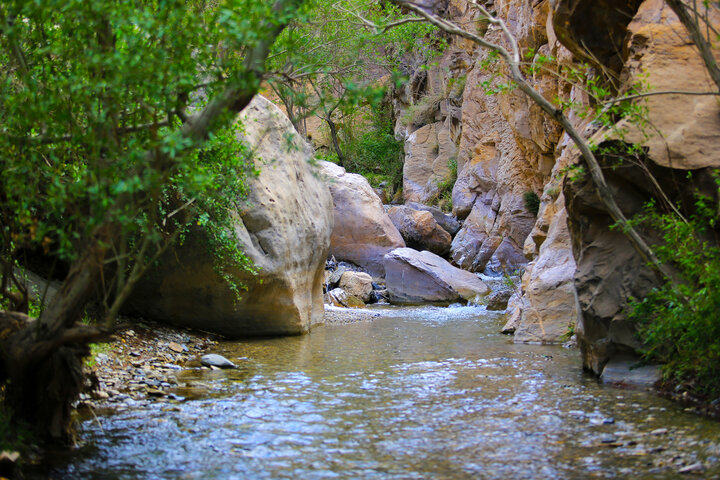 روستای سکنج