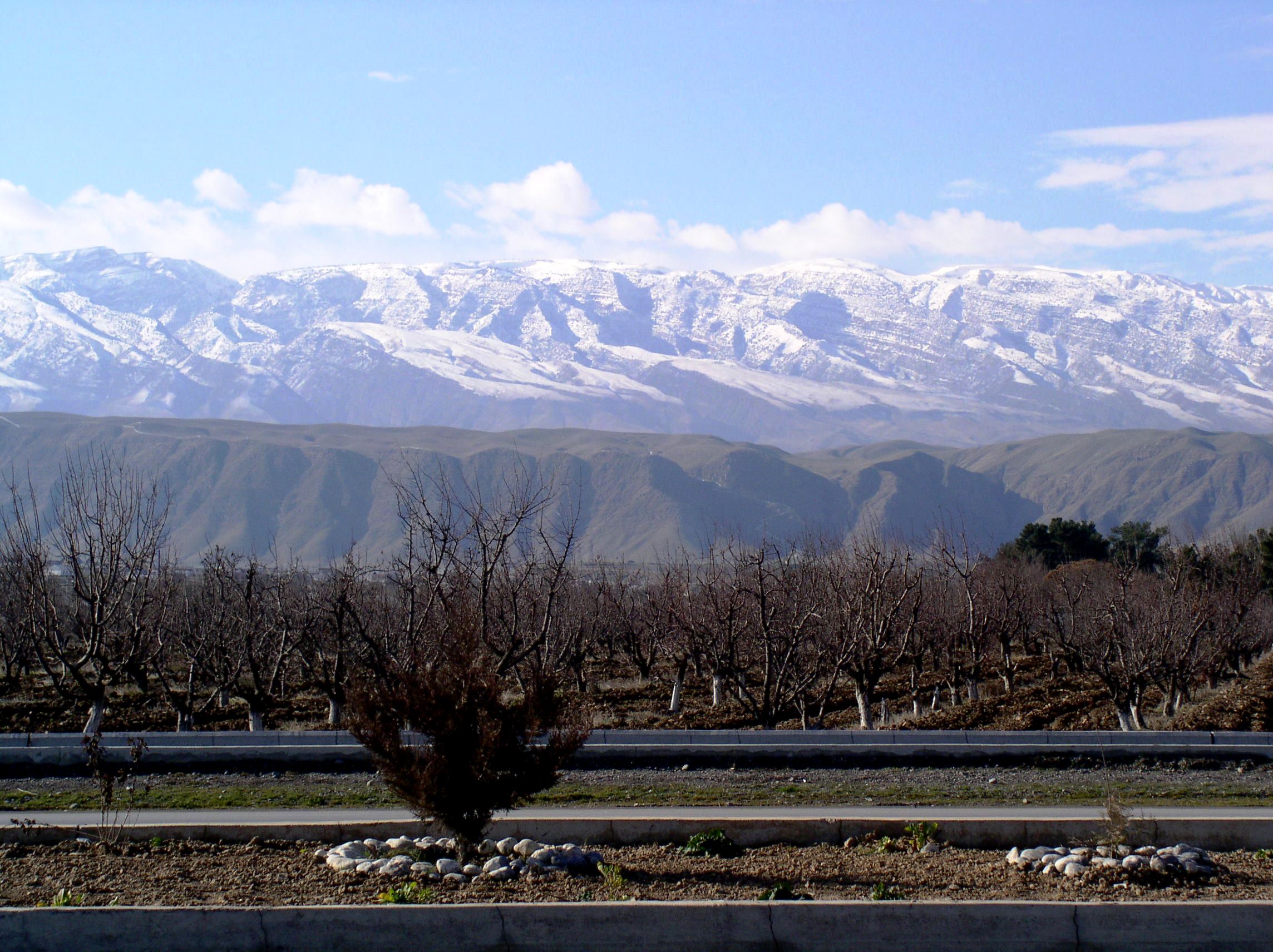 کپه داغ