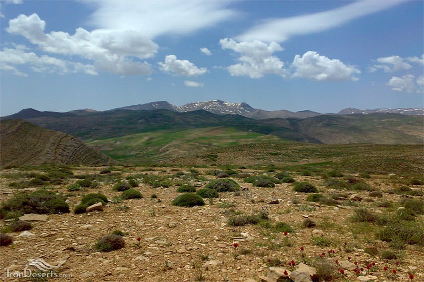 شکار ممنوع شاه جهان
