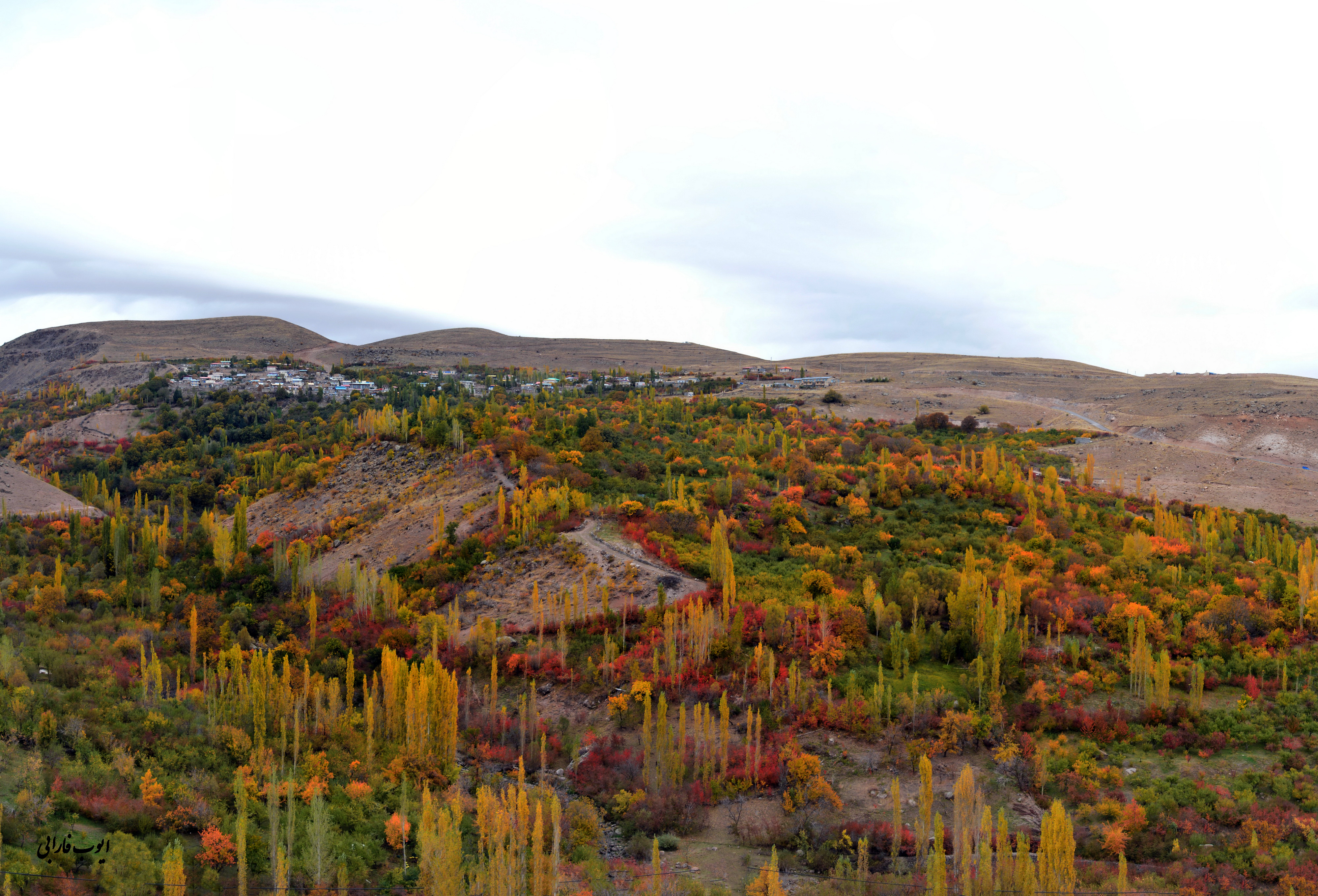 روستای زرج آباد