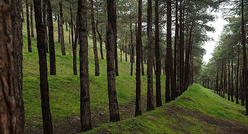 پارک جنگلی خرگوش دره