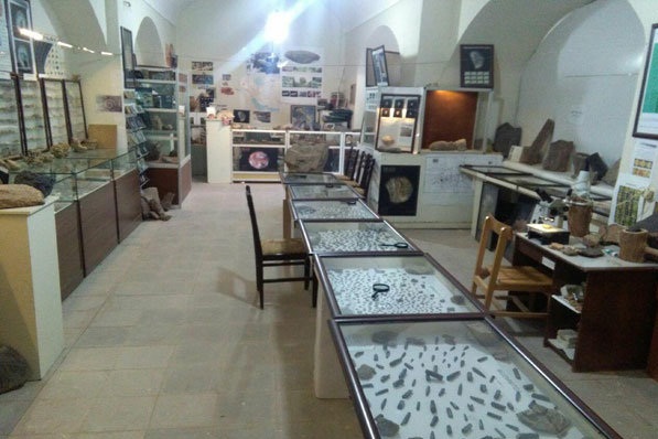 موزه دیرین شناسی