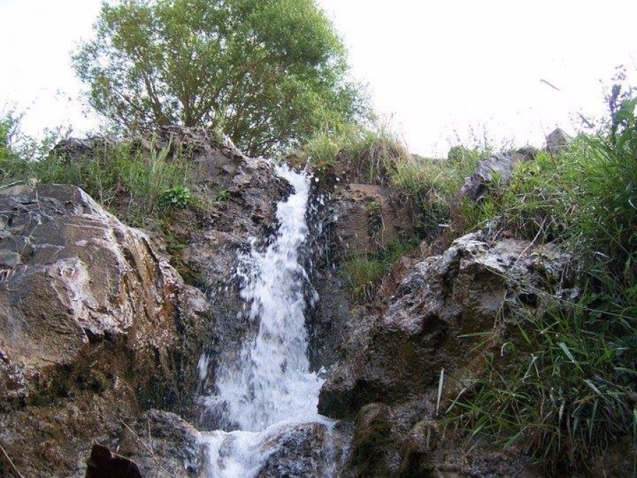 آبشار جنگلک