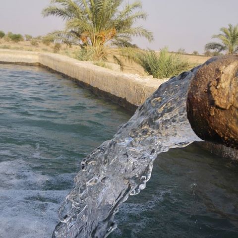 چشمه آب گرم دالکی