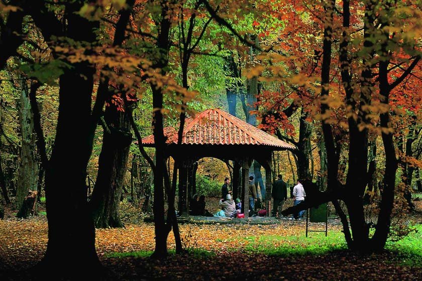 پارک ملی گلستان