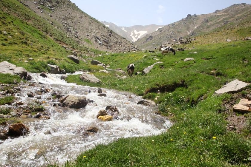 دشت میشان