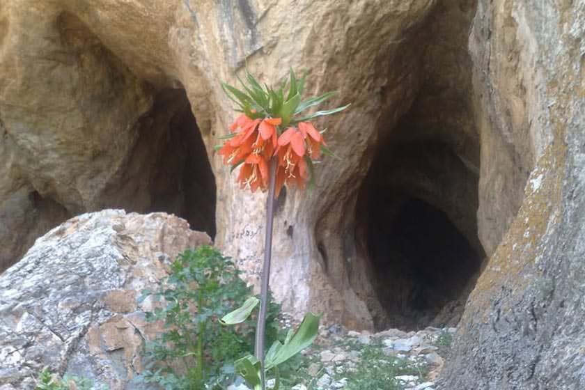 غار سفیدخانی اراک