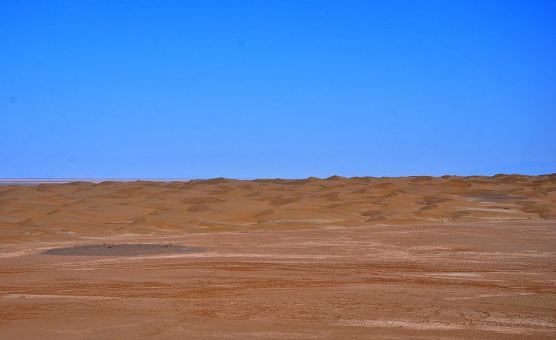کویر غدیر اسب