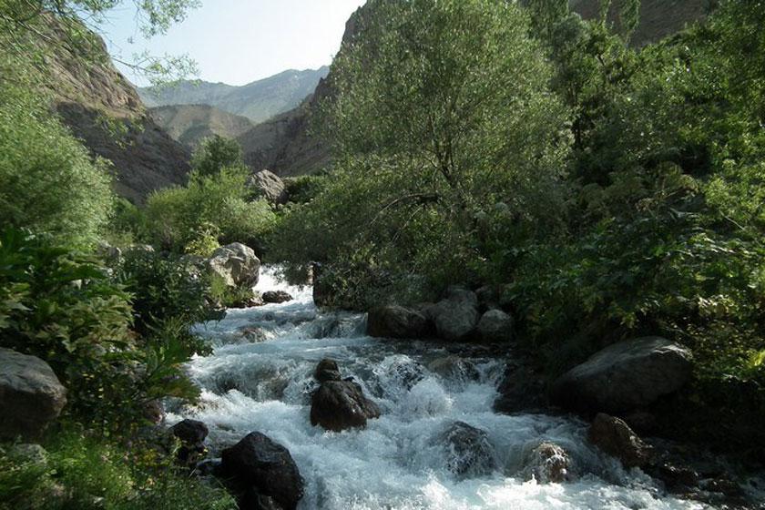 چشمه قهری