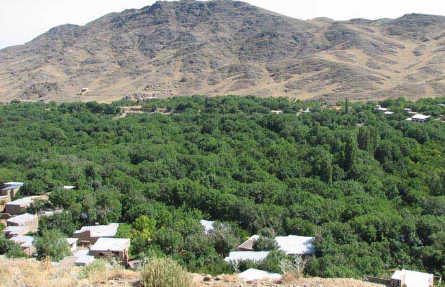 روستای فردو