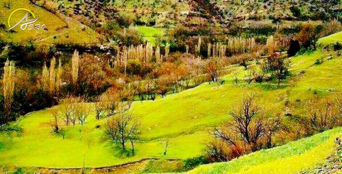 روستای نگل