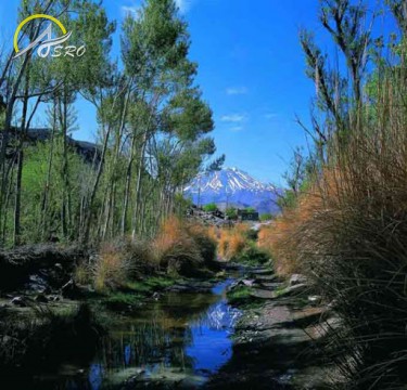 روستای تمین