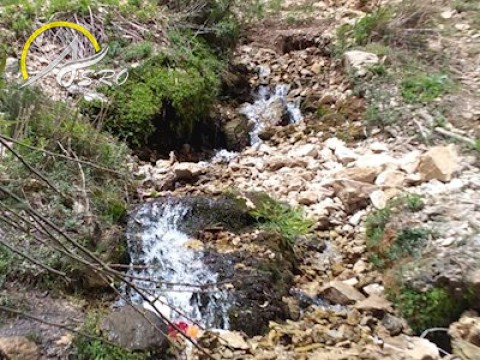 تنگه خانی