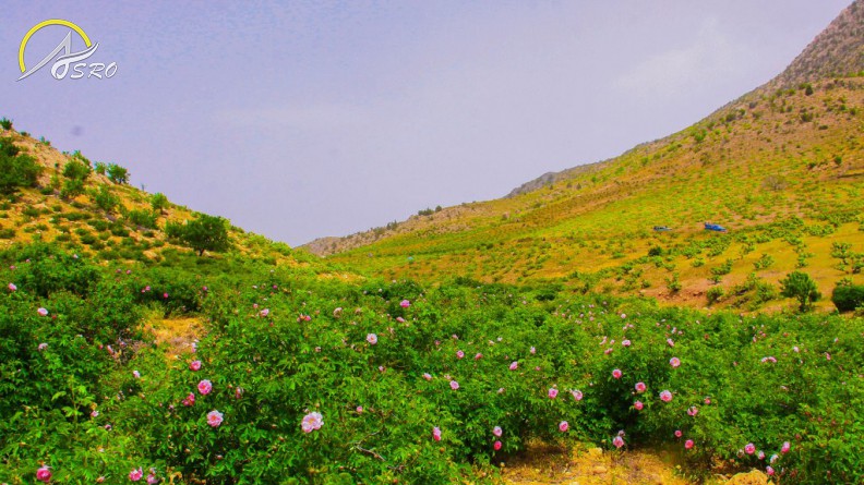 روستای لایزنگان