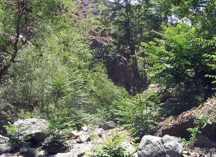 دره دارآباد