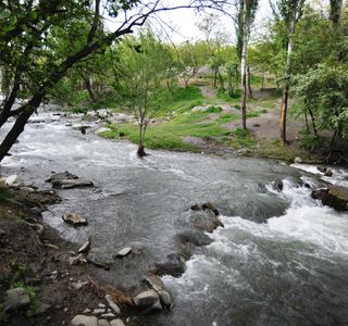 باغ وکیل آباد مشهد