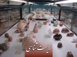 موزه علوم و فنون