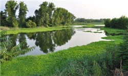 تالاب عینک