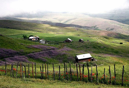 ییلاق شکر دشت