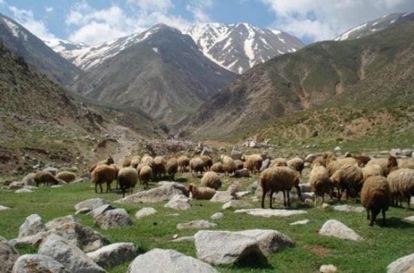 سنگ نوشته رازلیق
