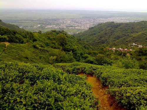 لیلا کوه