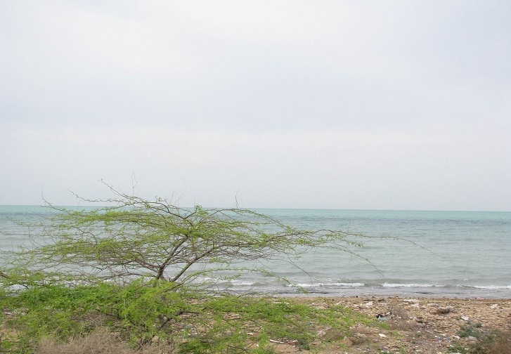 پارک گردشگری لیان
