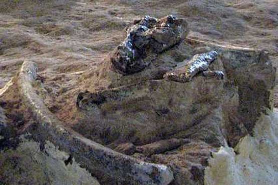 موزه ایلخانی مراغه