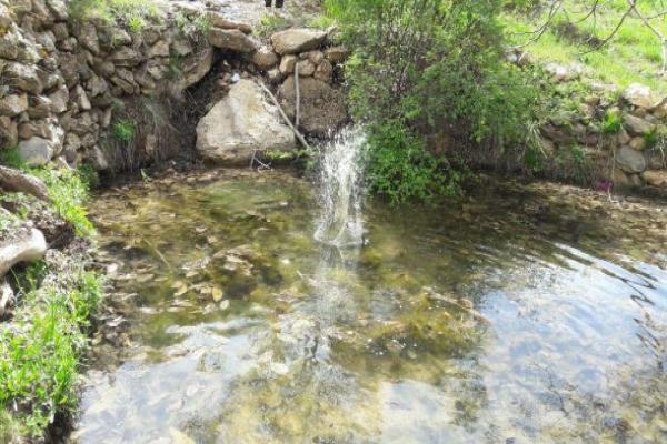 روستای «الماس»