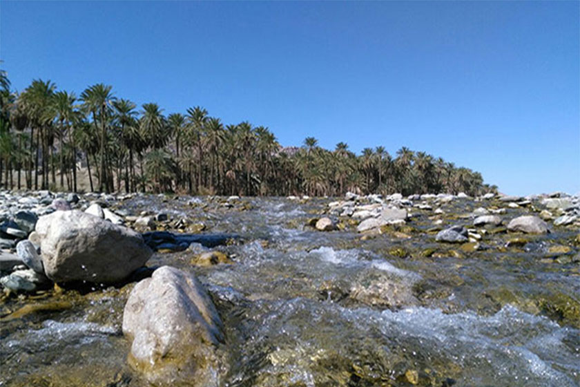 رودخانه دامن