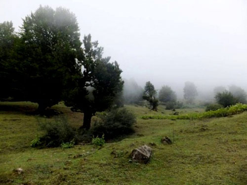 ییلاق کوربار