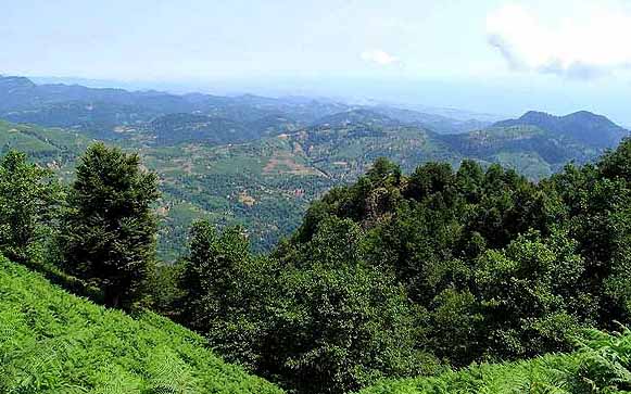 روستای ورنیاب
