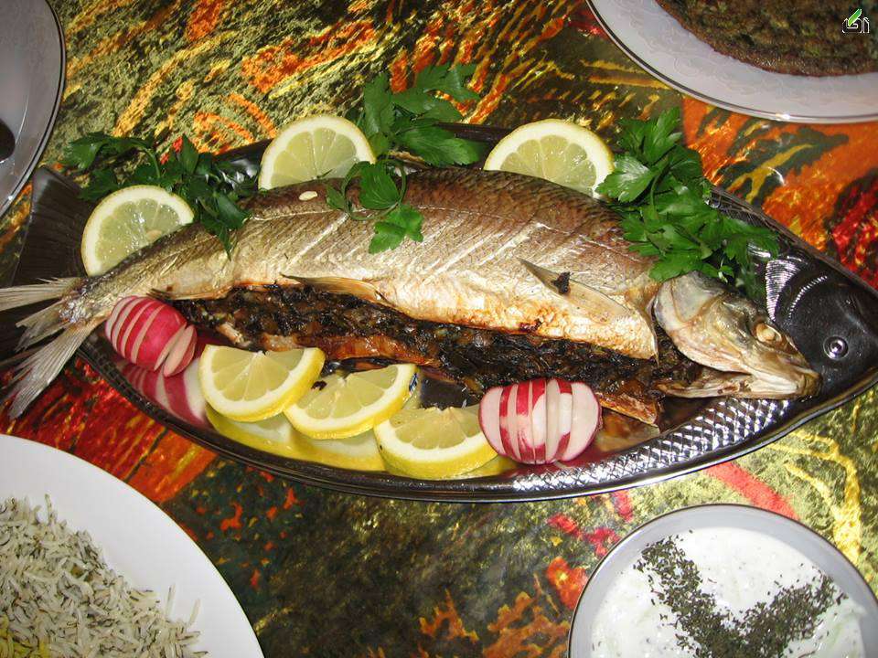 ماهی شکم پر گیلان