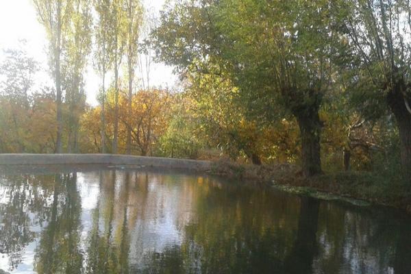روستای «الماس»