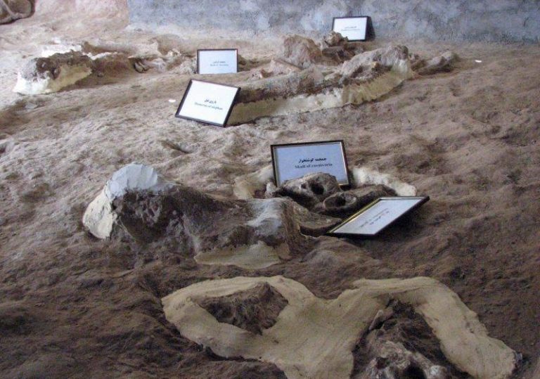 موزه ایلخانی مراغه