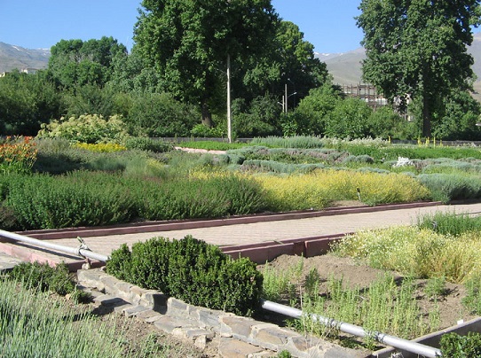 باغ گیاهان دارویی