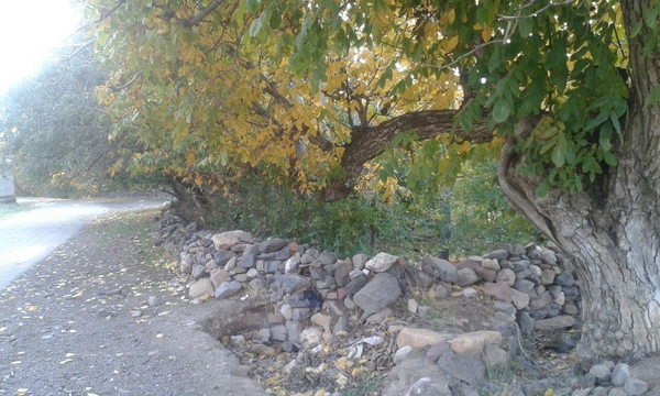 روستای «الماس»