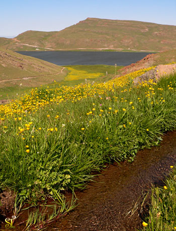 دریاچه نئور