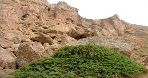 غار یخگان