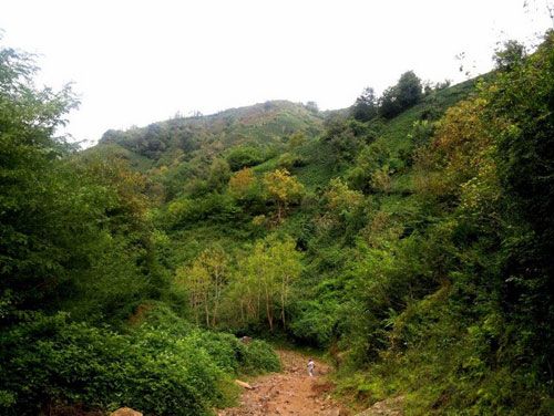 لیلا کوه