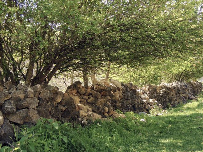 روستای کروچ و شرودان