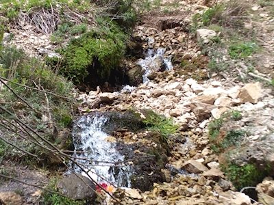 تنگه خانی