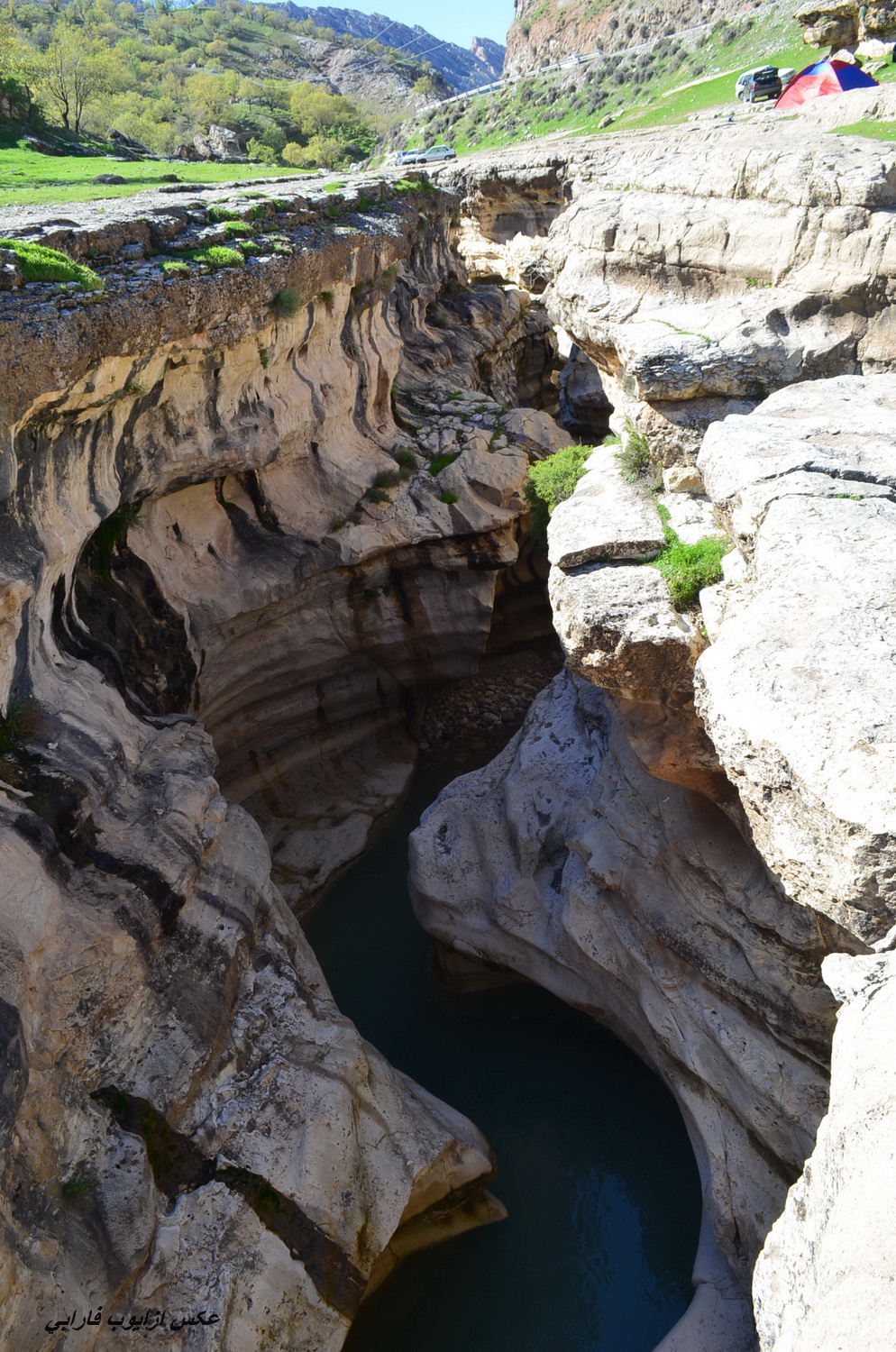 تنگه رازیانه