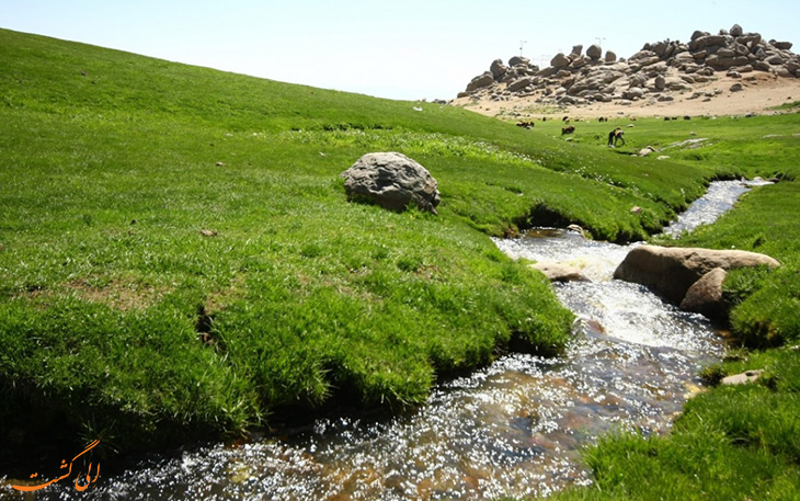 دشت میشان
